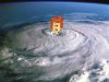 Wilma!.jpg